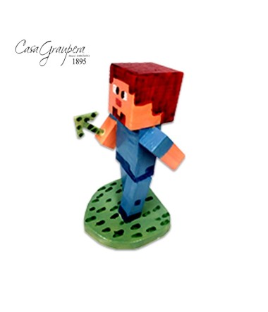 Steve Minecraft