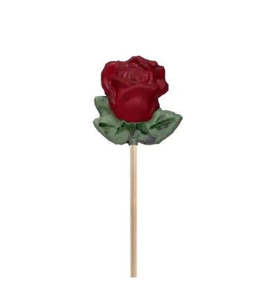 Rosa Xocolata Blanca, color vermell