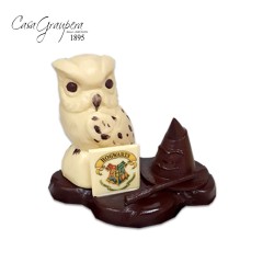 Hedwig amb barret seleccionador - Harry Potter